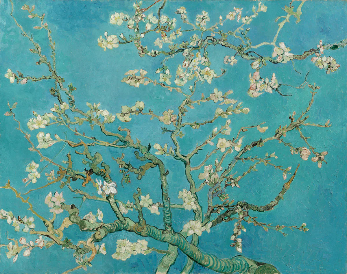 Almond Blossoms