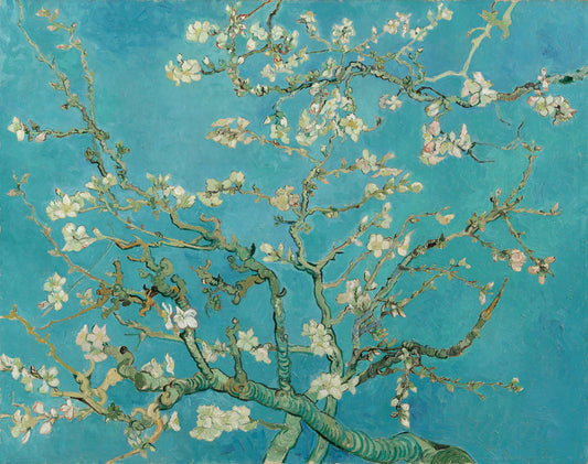 Almond Blossoms
